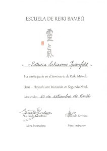 reiki-nivel-2-bambú-patricia-schiavone.jpg