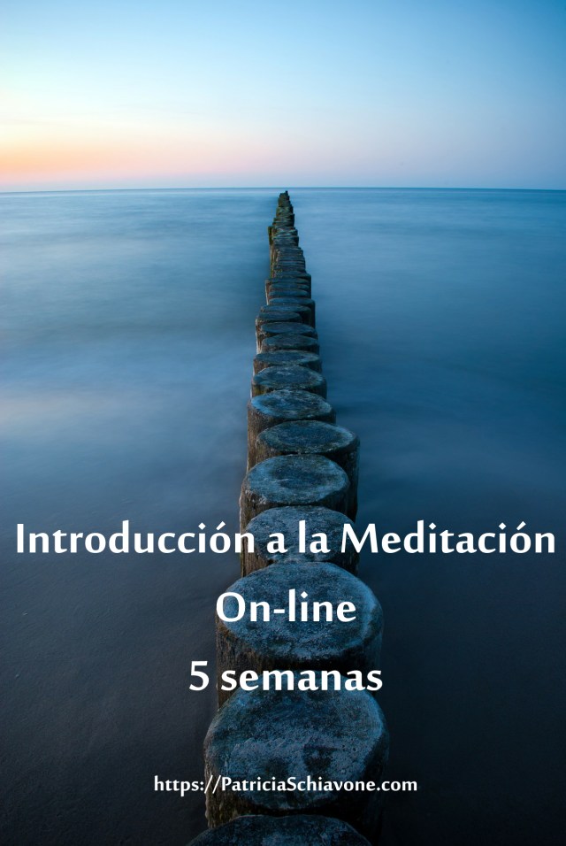 Intro Med on-line copy