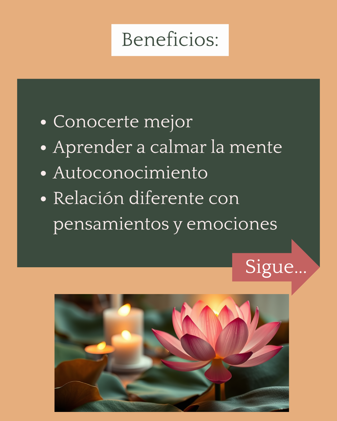 CURSO DE MEDITACIÓN PARA CALMAR LA MENTE Y CONOCERTE MEJOR | The PAT Path